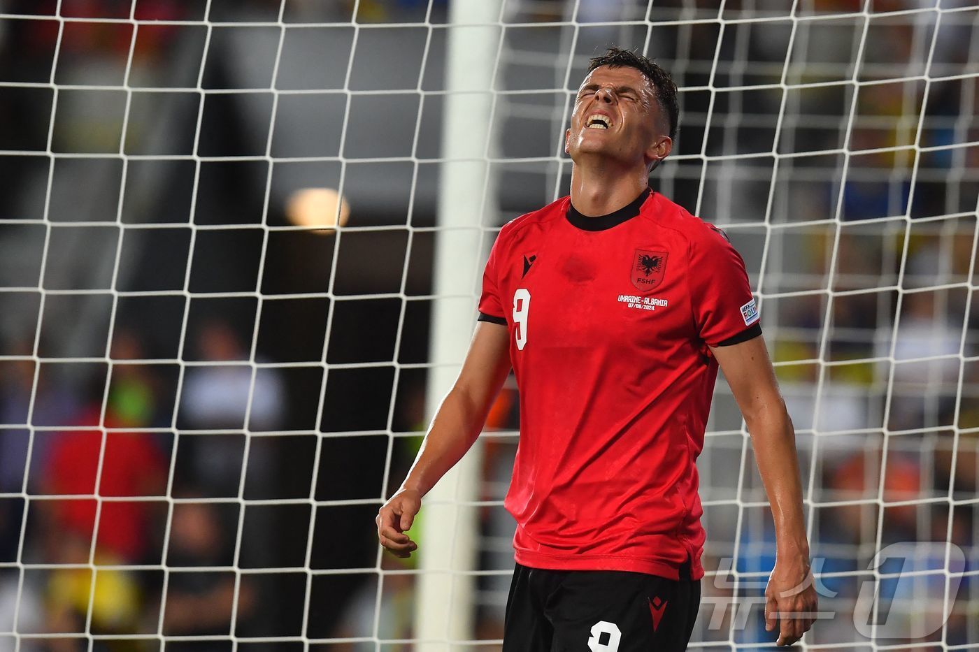 본문 이미지 - 알바니아의 야시르 아사니. ⓒ AFP=뉴스1