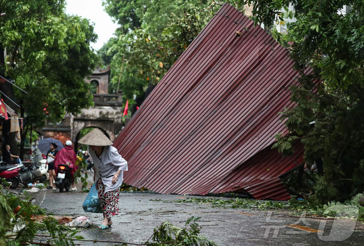 본문 이미지 - 8일 (현지시간) 슈퍼 태풍 '야기'가 강타한 베트남 하노이에서 쓰러진 나무와 지붕이 보인다. 2024.09.09 ⓒ AFP=뉴스1 ⓒ News1 우동명 기자