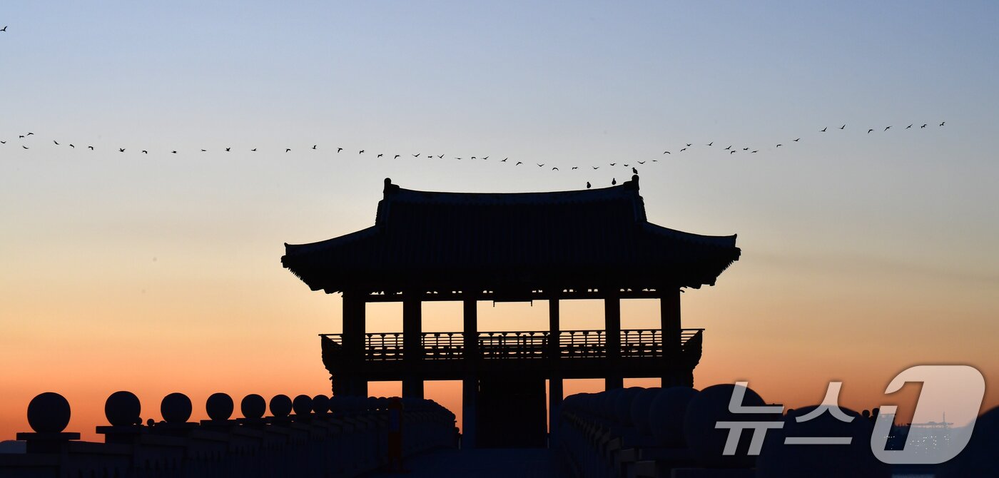 본문 이미지 - 2025년 을사년(乙巳年) 새해 첫날인 1일 경북 포항시 북구 영일대해수욕장 해상누각 위로 철새들이 날아가고 있다. 2025.1.1/뉴스1 ⓒ News1 최창호 기자