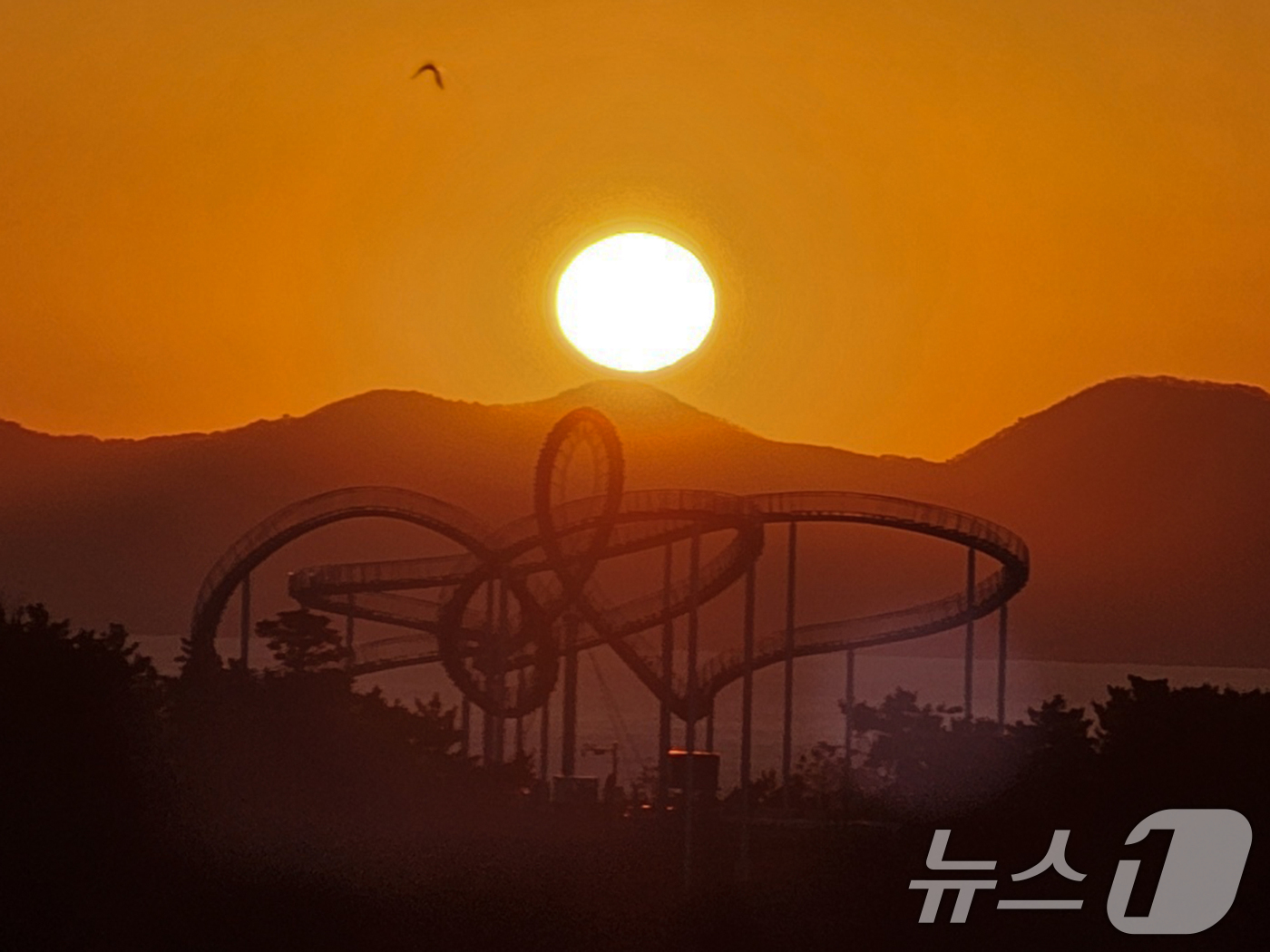 (포항=뉴스1) 최창호 기자 = 2025년 을사년(乙巳年) 새해 첫날인 1일 오전 경북 포항시 북구 환여동 환호공원 스페이스워크 위로 붉은 태양이 떠오르고 있다. 2025.1.1/ …