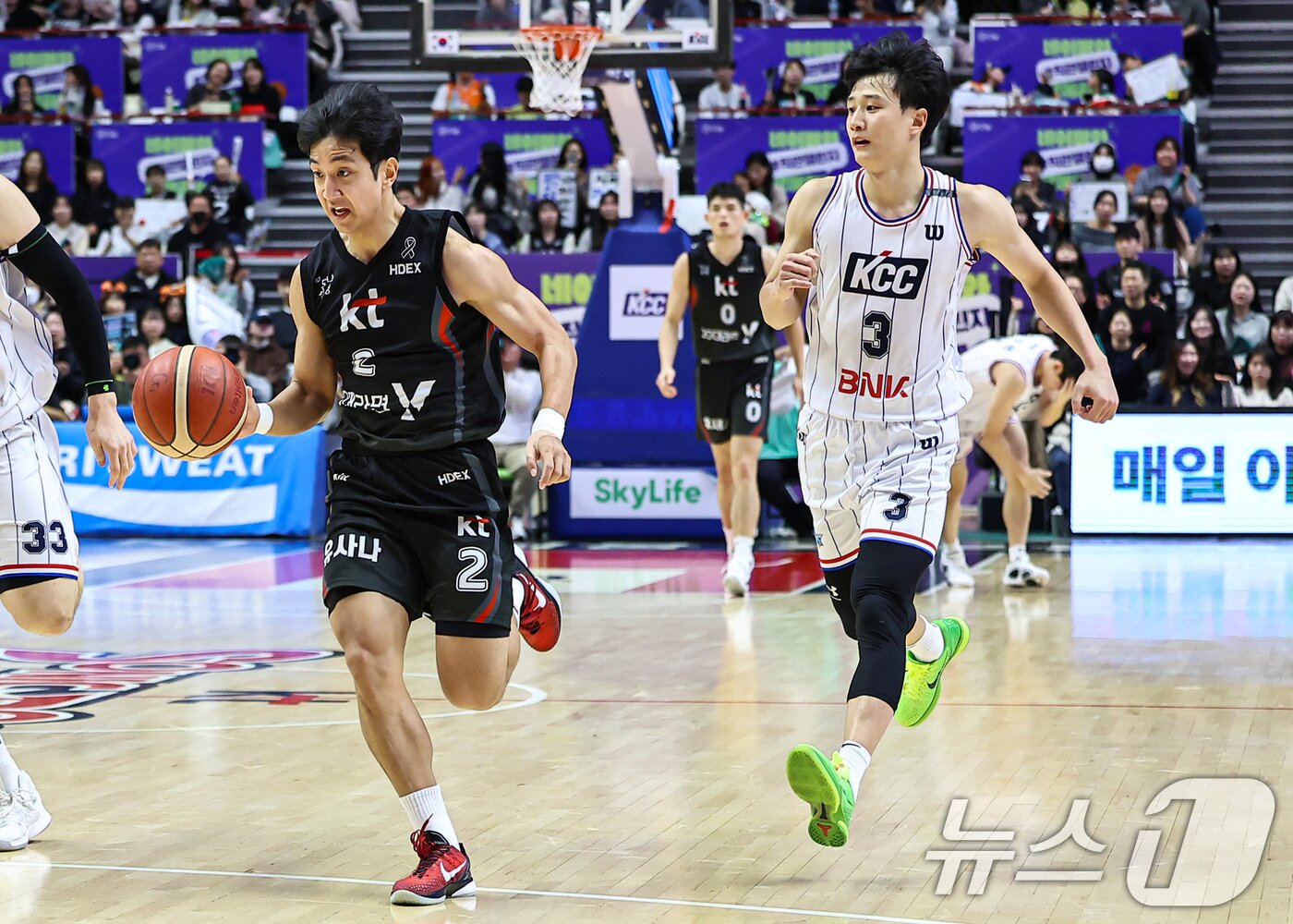 본문 이미지 - 1일 경기 수원시 권선구 수원KT소닉붐아레나에서 열린 '2024-2025 KCC 프로농구' 정규리그 수원 KT 소닉붐과 부산 KCC의 경기, KT 허훈가 KCC 허웅이 경기에 임하고 있다. 2025.1.1/뉴스1 ⓒ News1 김도우 기자