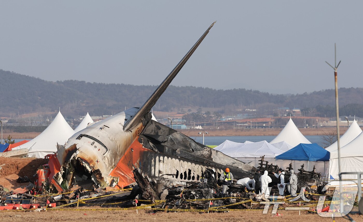 본문 이미지 - 1일 전남 무안국제공항 제주항공 여객기 참사 현장에서 항공-철도 사고조사위원회 관계자들이 현장 감식을 하고 있다. 2025.1.1/뉴스1 ⓒ News1 김성진 기자