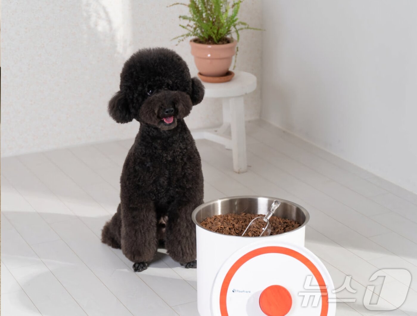 본문 이미지 - 진공사료통&#40;포프랭 제공&#41; ⓒ 뉴스1