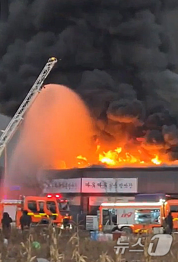 (서울=뉴스1) 김민지 기자 = 1일 오후 5시쯤 충북 제천시 강제동 1층짜리 상가 건물에서 원인이 확인되지 않은 화재가 발생해 소방대원들이 화재를 진압하고 있다. (독자 제공) …