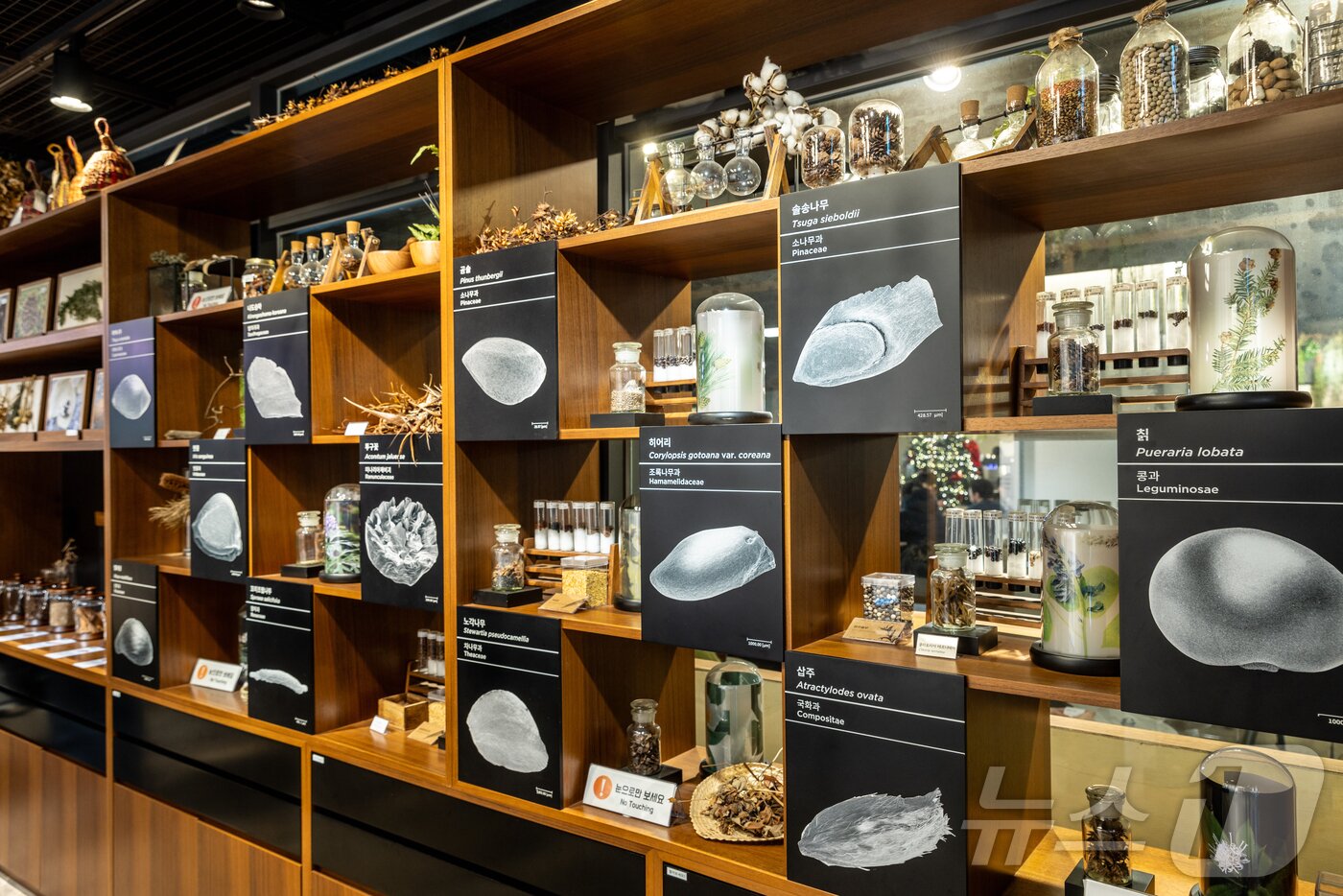 본문 이미지 - 씨앗도서관(서울관광재단 제공)