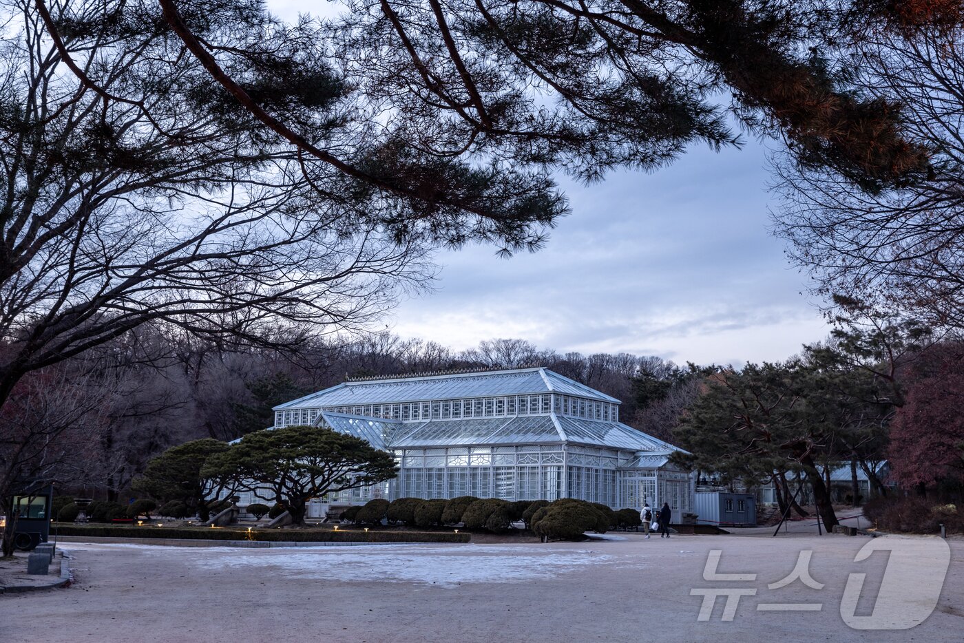 본문 이미지 - 해가 진 오후에 바라본 대온실(서울관광재단 제공)