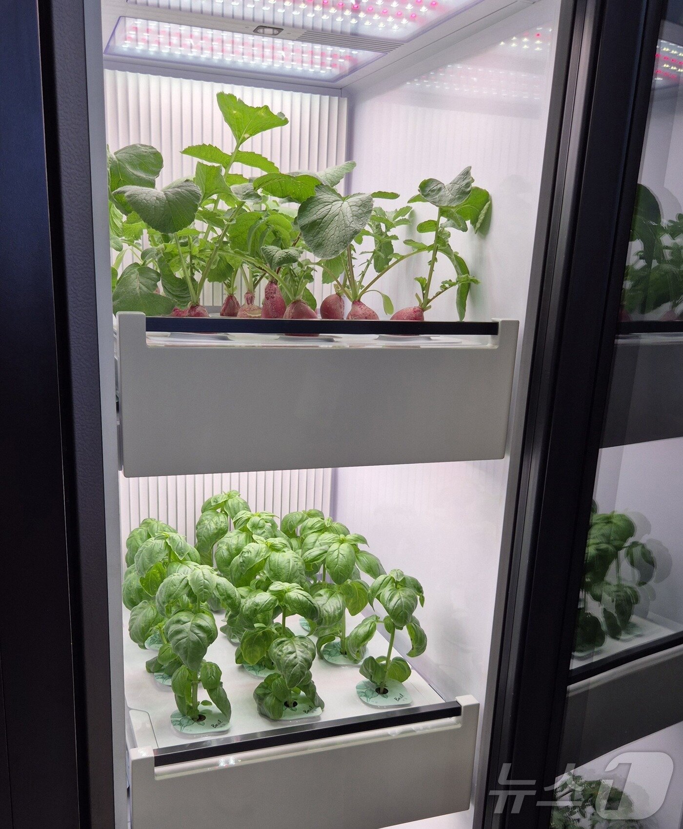 본문 이미지 - 농기계 기업 대동이 선보인 'AI 플랜트 박스'. 2025.1.9/뉴스1 최동현 기자