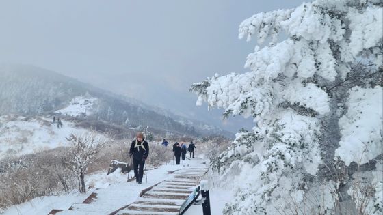 중부지방 오전까지 눈·비…전국 미세먼지 '나쁨' 주의[오늘날씨]