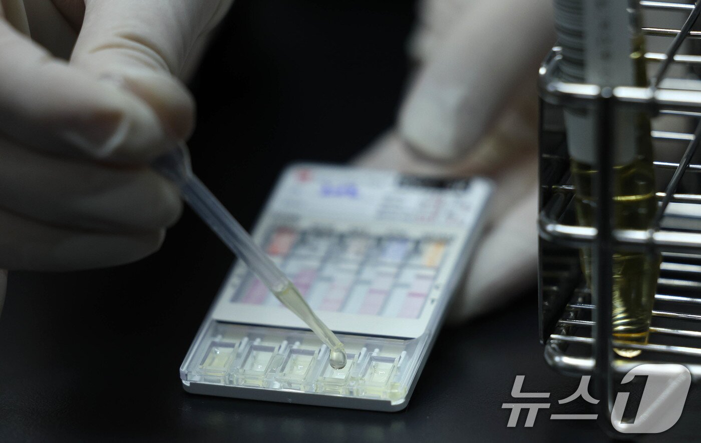 본문 이미지 - 13일 오전 서울 영등포구 서울지방병무청 제1병역판정검사장에서 임상병리사가 소변을 검체로 간이 검사 키트를 활용해 마약 검사를 하고 있다. (공동취재) 2025.1.13/뉴스1 ⓒ News1 박세연 기자