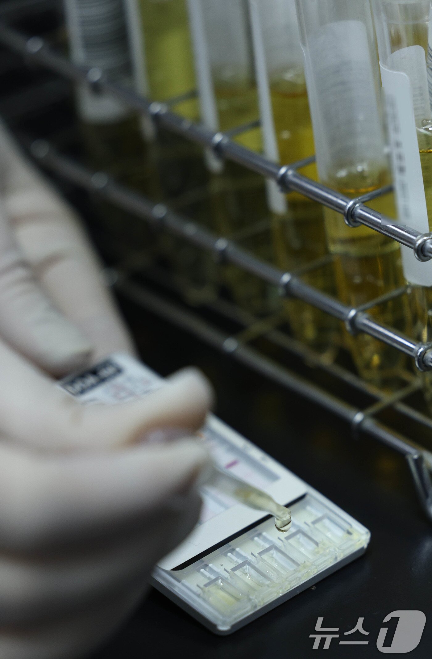 본문 이미지 - 13일 오전 서울 영등포구 서울지방병무청 제1병역판정검사장에서 임상병리사가 소변을 검체로 간이 검사 키트를 활용해 마약 검사를 하고 있다. (공동취재) 2025.1.13/뉴스1 ⓒ News1 박세연 기자
