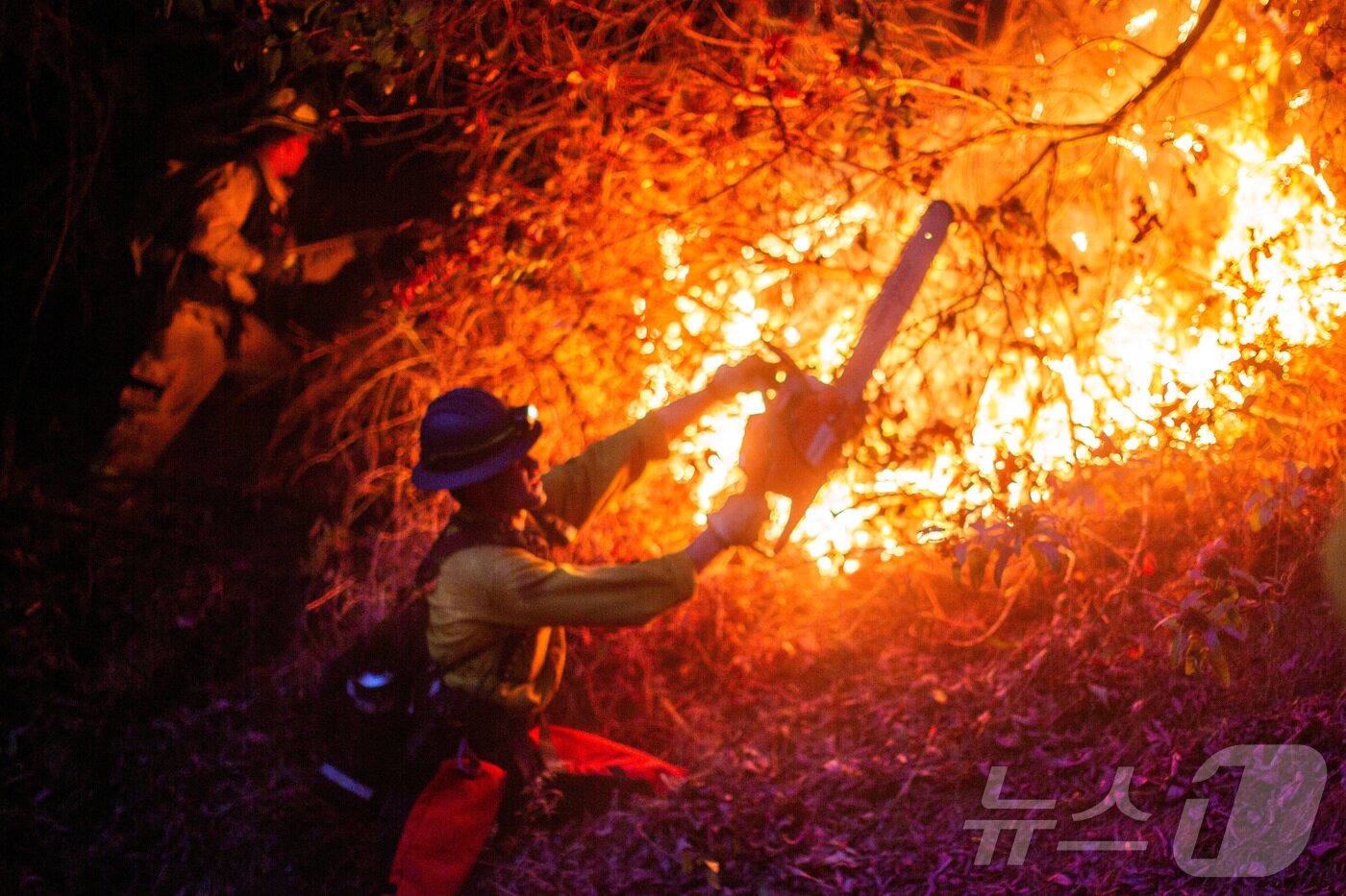 본문 이미지 - LA 카운티를 휩쓸고 있는 여러 건의 동시다발적인 화재 중 하나인 팰리세이즈 화재 현장에서 12일 한 소방관이 불길을 진화하려 안감힘을 쓰고 있다. ⓒ 로이터=뉴스1 ⓒ News1 류정민 특파원