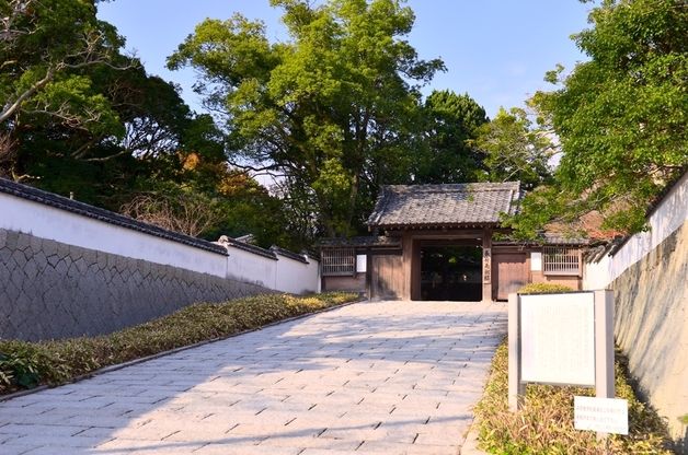 "현지서도 깜짝"…노랑풍선 '日 우베 전세기 상품' 전석 매진