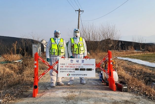 창녕 오리농장서 AI 항원 검출…2만1800마리 살처분