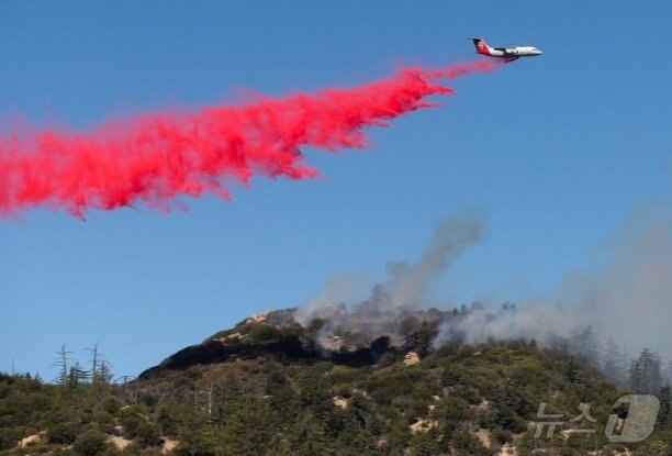 본문 이미지 - 포스 체크를 살포하고 있는 모습. BBC 화면 갈무리