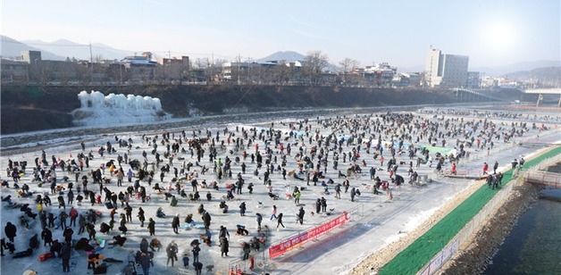 “홍천 인삼 송어 맛보세요”…홍천강 꽁꽁 축제 18일 개막