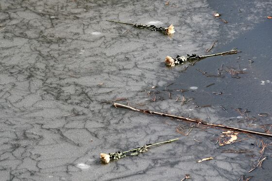 물에 빠진 친구 구하다 숨진 13살 소년…'의사자' 인정