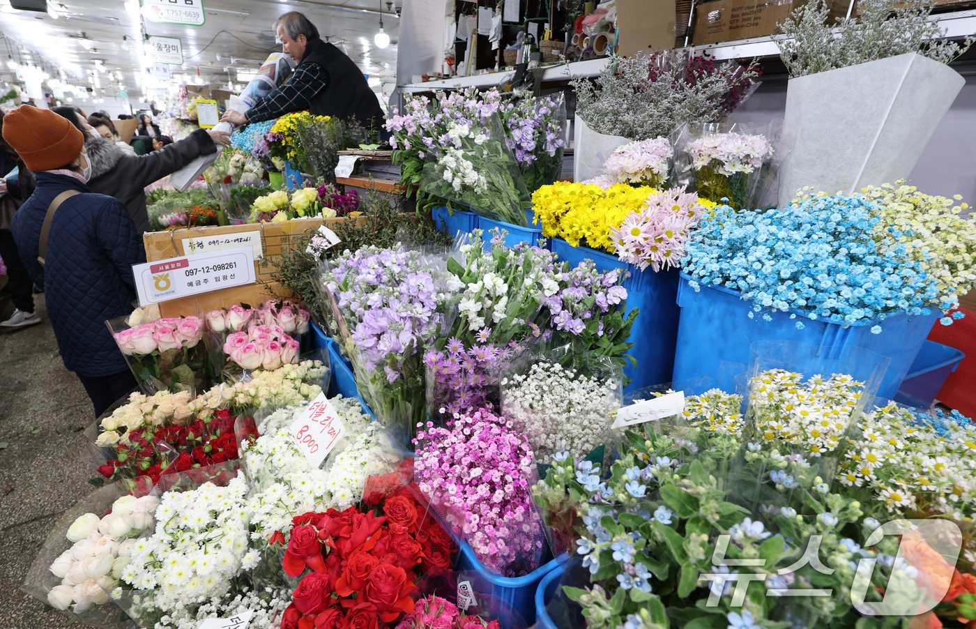 (서울=뉴스1) 장수영 기자 = 본격적인 졸업 시즌을 앞둔 17일 오후 서울 중구 남대문시장 꽃상가를 찾은 시민들이 꽃을 구매하고 있다. 2025.1.17/뉴스1
