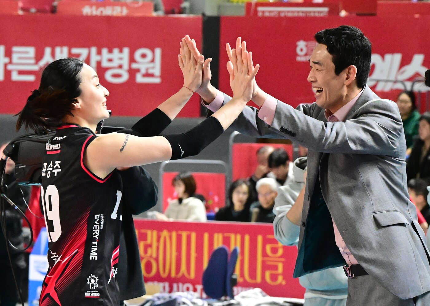 본문 이미지 - 여자 프로배구 정관장의 표승주 (한국배구연맹 제공)