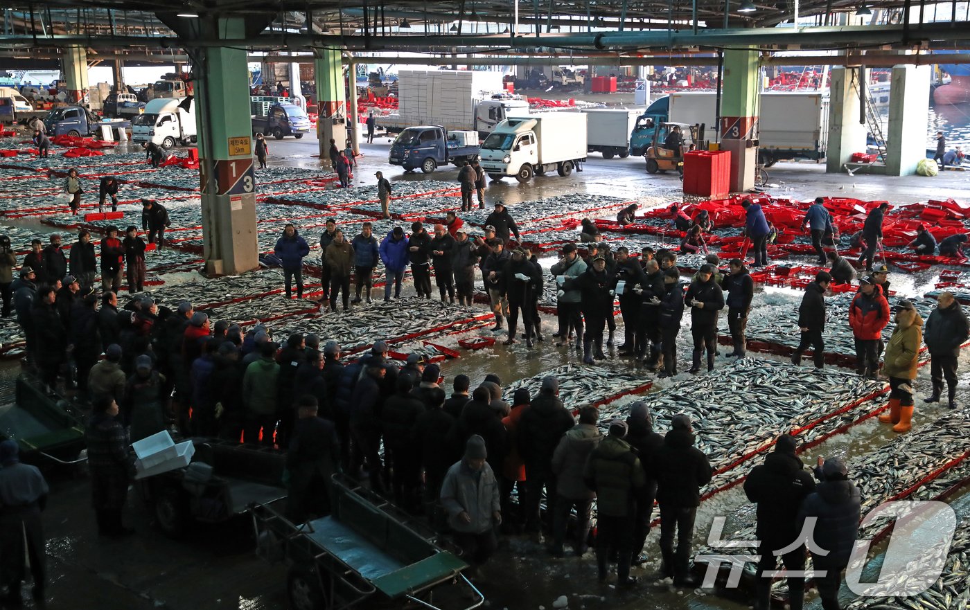 본문 이미지 - 2일 오전 부산 서구 부산공동어시장에서 중도매인들이 힘찬 손짓으로 새해 첫 수산물 경매를 진행하고 있다. 2025.1.2/뉴스1 ⓒ News1 윤일지 기자