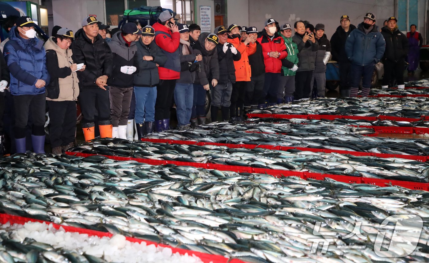 2일 오전 부산 서구 부산공동어시장에서 중도매인들이 힘찬 손짓으로 새해 첫 수산물 경매를 진행하고 있다. 2025.1.2/뉴스1 ⓒ News1 윤일지 기자