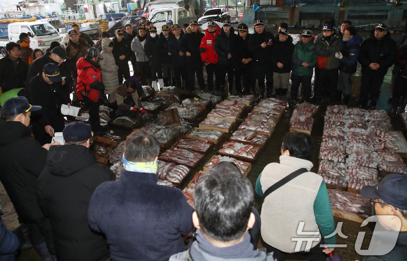 2일 오전 부산 서구 부산공동어시장에서 중도매인들이 힘찬 손짓으로 새해 첫 수산물 경매를 진행하고 있다. 2025.1.2/뉴스1 ⓒ News1 윤일지 기자