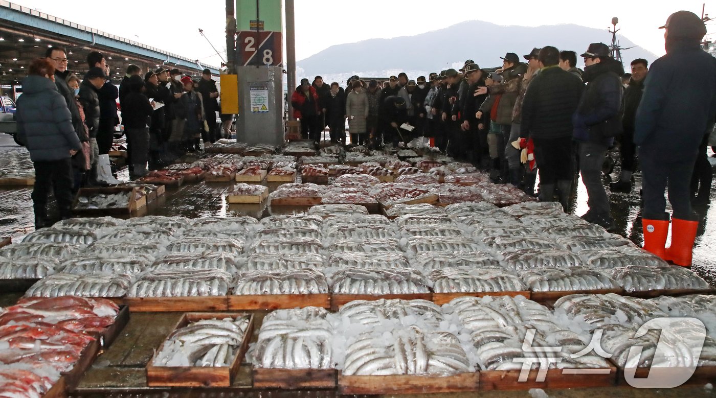 본문 이미지 - 2일 오전 부산 서구 부산공동어시장에서 중도매인들이 힘찬 손짓으로 새해 첫 수산물 경매를 진행하고 있다. 2025.1.2/뉴스1 ⓒ News1 윤일지 기자