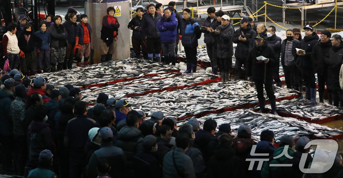 2일 오전 부산 서구 부산공동어시장에서 중도매인들이 힘찬 손짓으로 새해 첫 수산물 경매를 진행하고 있다. 2025.1.2/뉴스1 ⓒ News1 윤일지 기자