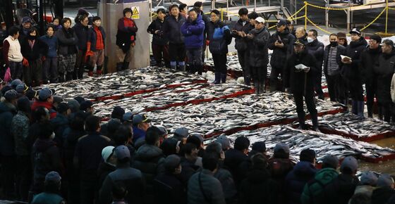 검찰, '배임 혐의' 박극제 전 부산어시장 대표 징역 3년 구형