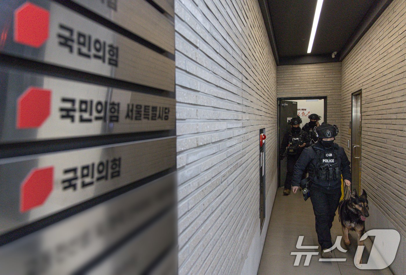 본문 이미지 - 국민의힘 당사에 '폭발물을 설치하겠다'는 신고가 접수된 2일 오후 경찰특공대원들이 서울 여의도 국민의힘 중앙당사를 수색하고 있다. 2025.1.2/뉴스1 ⓒ News1 이재명 기자