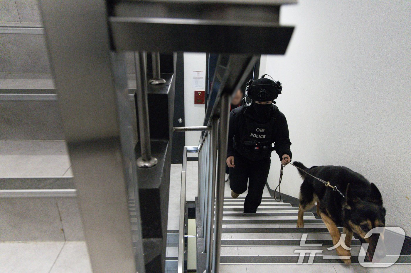 본문 이미지 - 국민의힘 당사에 '폭발물을 설치하겠다'는 신고가 접수된 2일 오후 경찰특공대원들이 서울 여의도 국민의힘 중앙당사를 수색하고 있다. 2025.1.2/뉴스1 ⓒ News1 이재명 기자