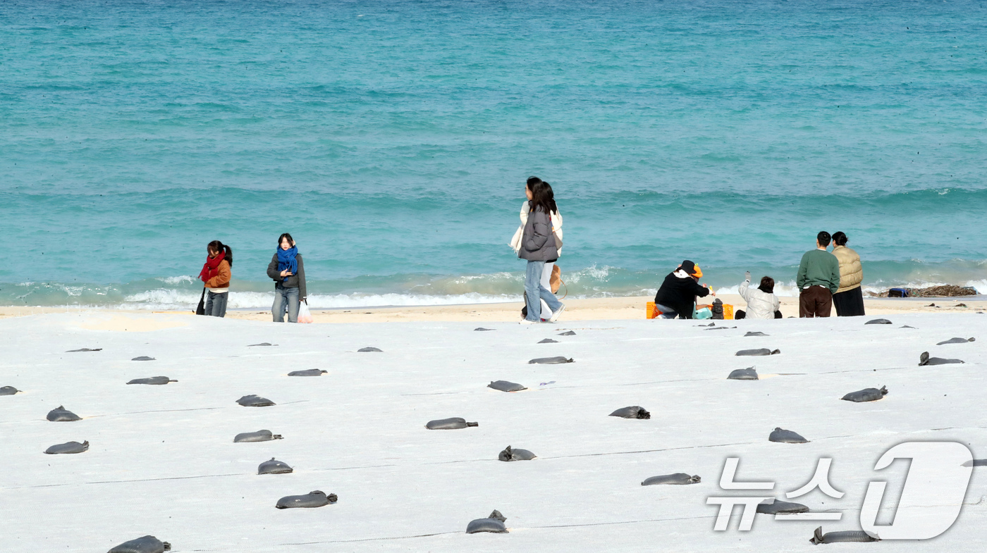 (제주=뉴스1) 오현지 기자 = 2일 오후 제주 조천읍 함덕해수욕장에서 도민과 관광객들이 겨울 바다 정취를 즐기고 있다. 2025.1.2/뉴스1