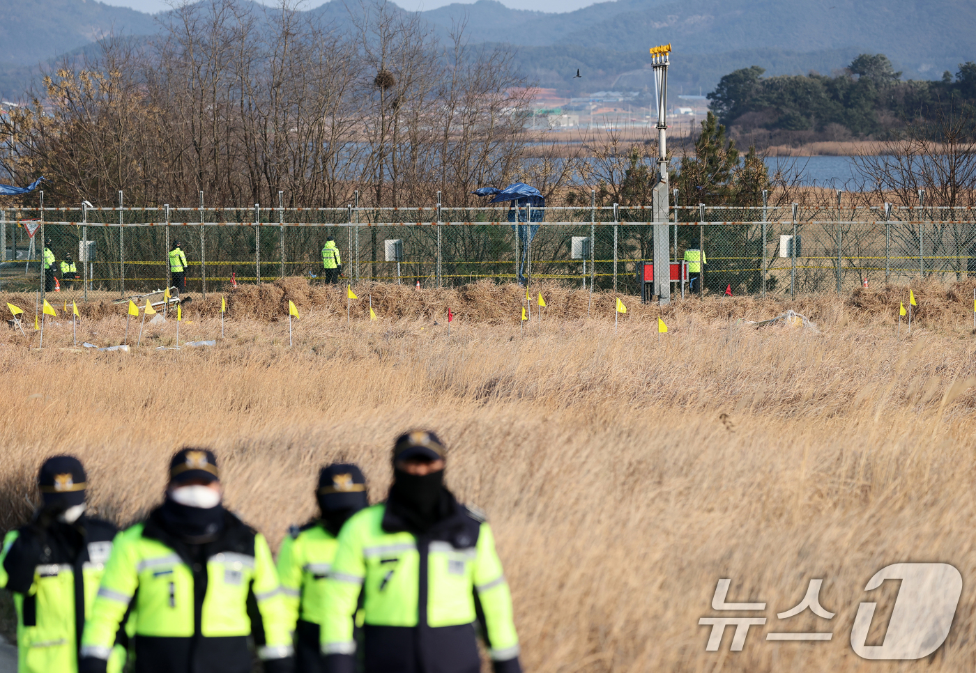 (무안=뉴스1) 오대일 기자 = 제주항공 여객기 참사 닷새째인 2일 오후 전남 무안국제공항 사고 현장 인근 풀밭에 꽂힌 노란 깃발이 바람에 나부끼고 있다. 노란 깃발은 희생자들의 …