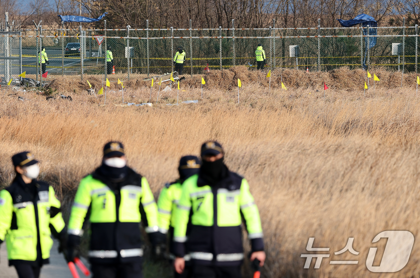 (무안=뉴스1) 오대일 기자 = 제주항공 여객기 참사 닷새째인 2일 오후 전남 무안국제공항 사고 현장 인근 풀밭에 꽂힌 노란 깃발이 바람에 나부끼고 있다. 노란 깃발은 희생자들의 …