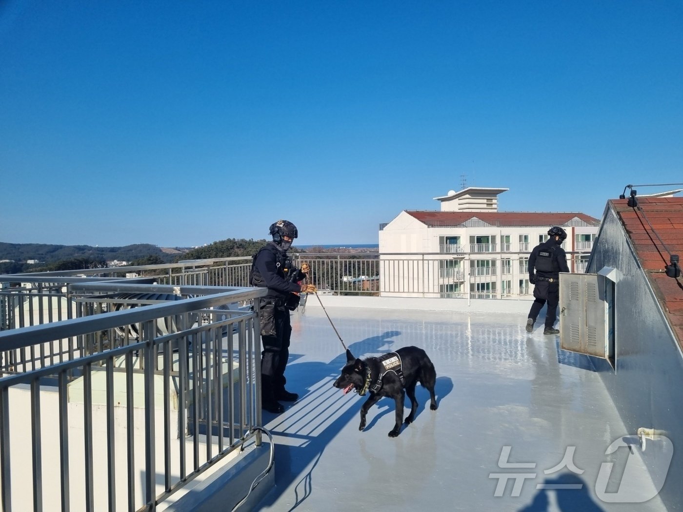 2일 서울 영등포구 국민의힘 당사에 폭발물 설치 예고 팩스가 수신되자 경찰특공대가 권성동 원내대표 강릉 사무실과 자택을 대상으로도 수색을 벌였다.&#40;강원경찰청 제공&#41; 2025.1.2/뉴스1 ⓒ News1 이종재 기자