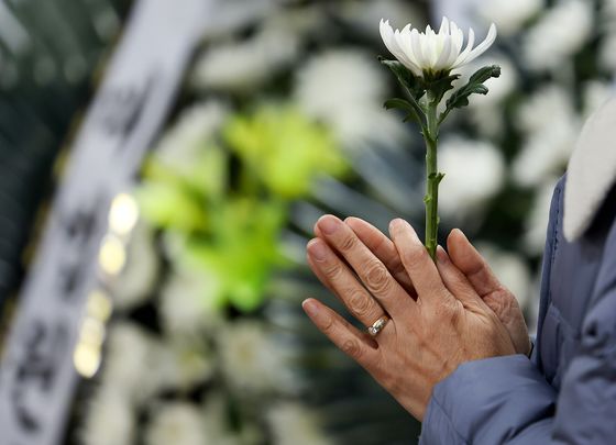 경찰, 제주항공 참사 '악플' 수사 확대…전담수사팀 설치