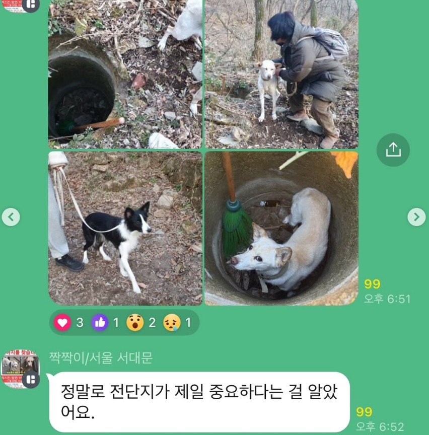 본문 이미지 - 짝짝이 구조 당일 지해피독 오픈 채팅방에 올린 보호자의 글 &#40;보호자 제공&#41; ⓒ 뉴스1