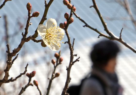 [오늘의 날씨] 울산(29일, 수)…강풍·아침 '영하 2도' 추위