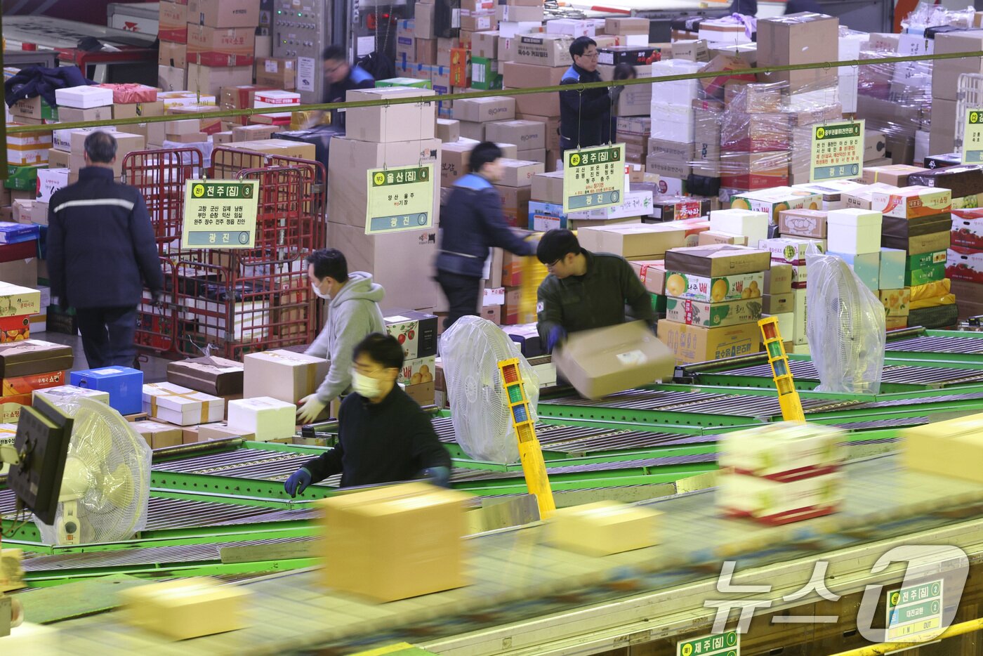 본문 이미지 - 설 명절을 앞둔 21일 오전 서울 광진구 동서울우편물류센터에서 직원들이 택배 분류 작업으로 구슬땀을 흘리고 있다.  2025.1.21/뉴스1 ⓒ News1 신웅수 기자