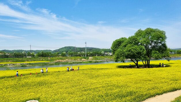 [오늘의 날씨] 충북·세종(7일, 토)…낮 최고 30도 더위