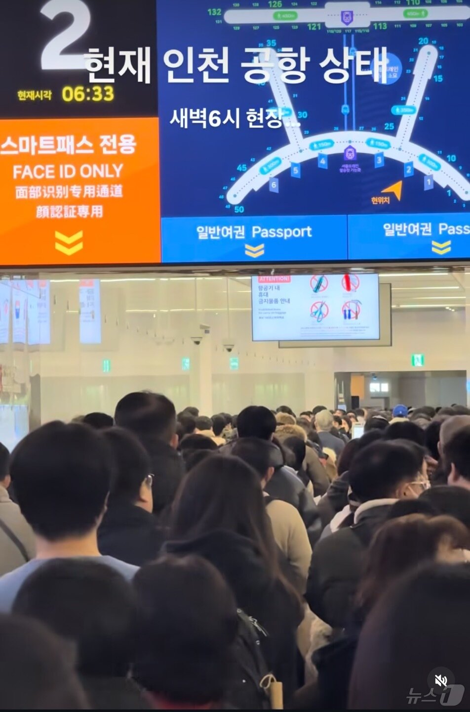 본문 이미지 - SNS 갈무리 / 뉴스1