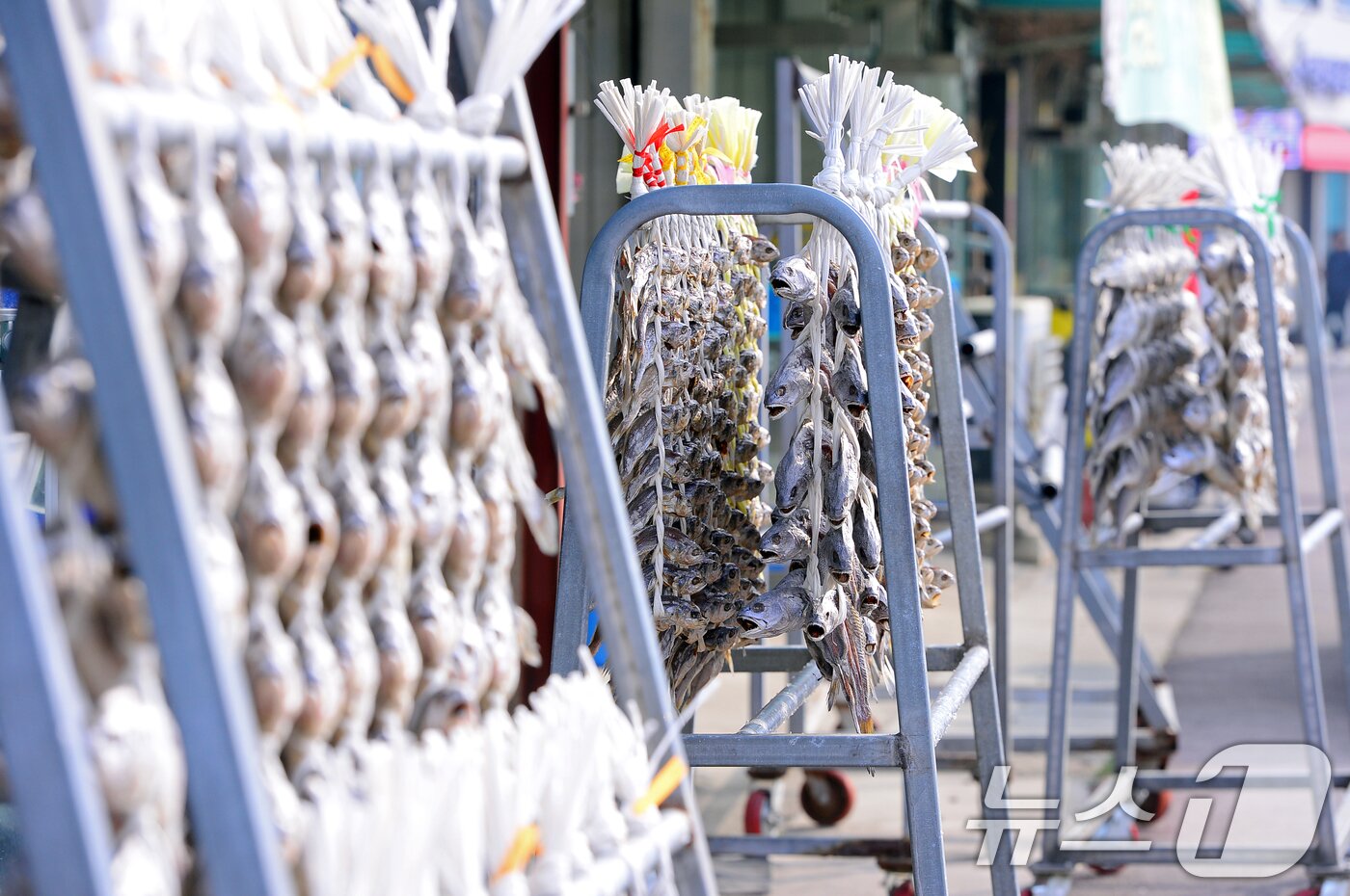 본문 이미지 - 설 명절 연휴를 사흘 앞둔 22일 전남 영광군 법성면 법성포 굴비거리가 한산한 모습을 보이고 있다. 2025.1.22/뉴스1 ⓒ News1 이승현 기자