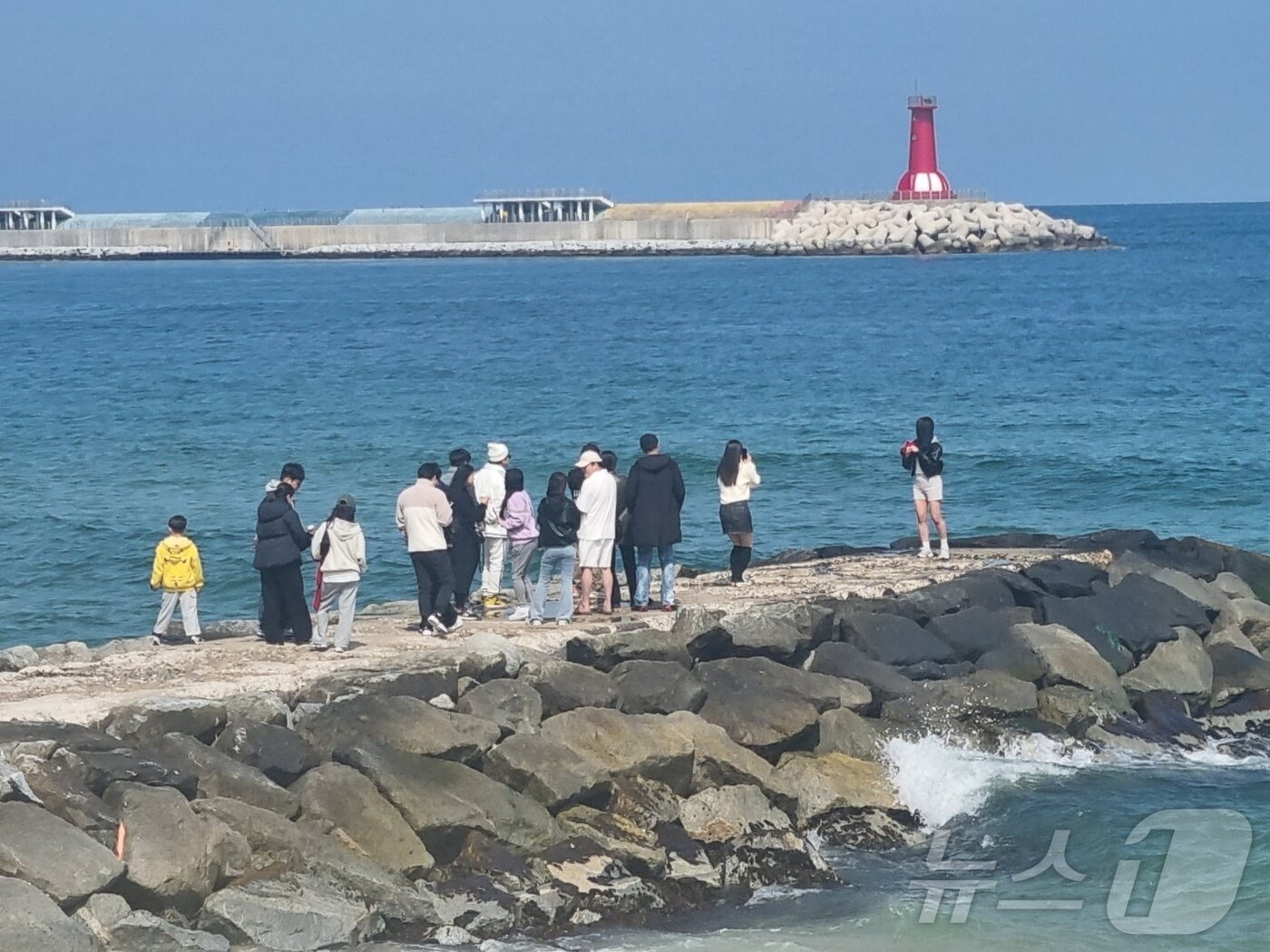 본문 이미지 - '도깨비' 촬영지로 유명한 강원 강릉 영진해변 '도깨비 방사제'에 기념사진을 찍으려는 연인 관광객들이 줄지어 차례를 기다리고 있다. (뉴스1 DB)