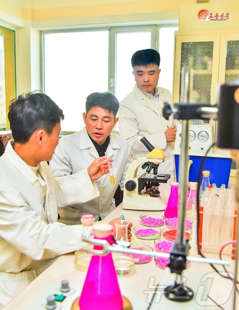 (평양 노동신문=뉴스1) = 북한 노동당 기관지 노동신문은 23일 농업과학원 농업화학화연구소의 연구사들이 새로운 종자 피복제를 개발하기 위해 실험을 진행하며 진지하게 토론하고 있다 …
