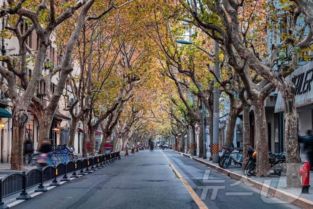 본문 이미지 - 프랑스 조계지로 알려진 우캉루(트립닷컴 제공)