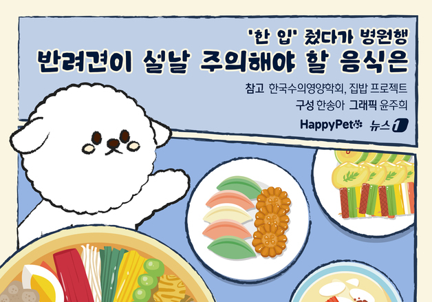 '한입' 줬다가 병원행…반려견이 주의해야 할 설 음식은[펫카드]