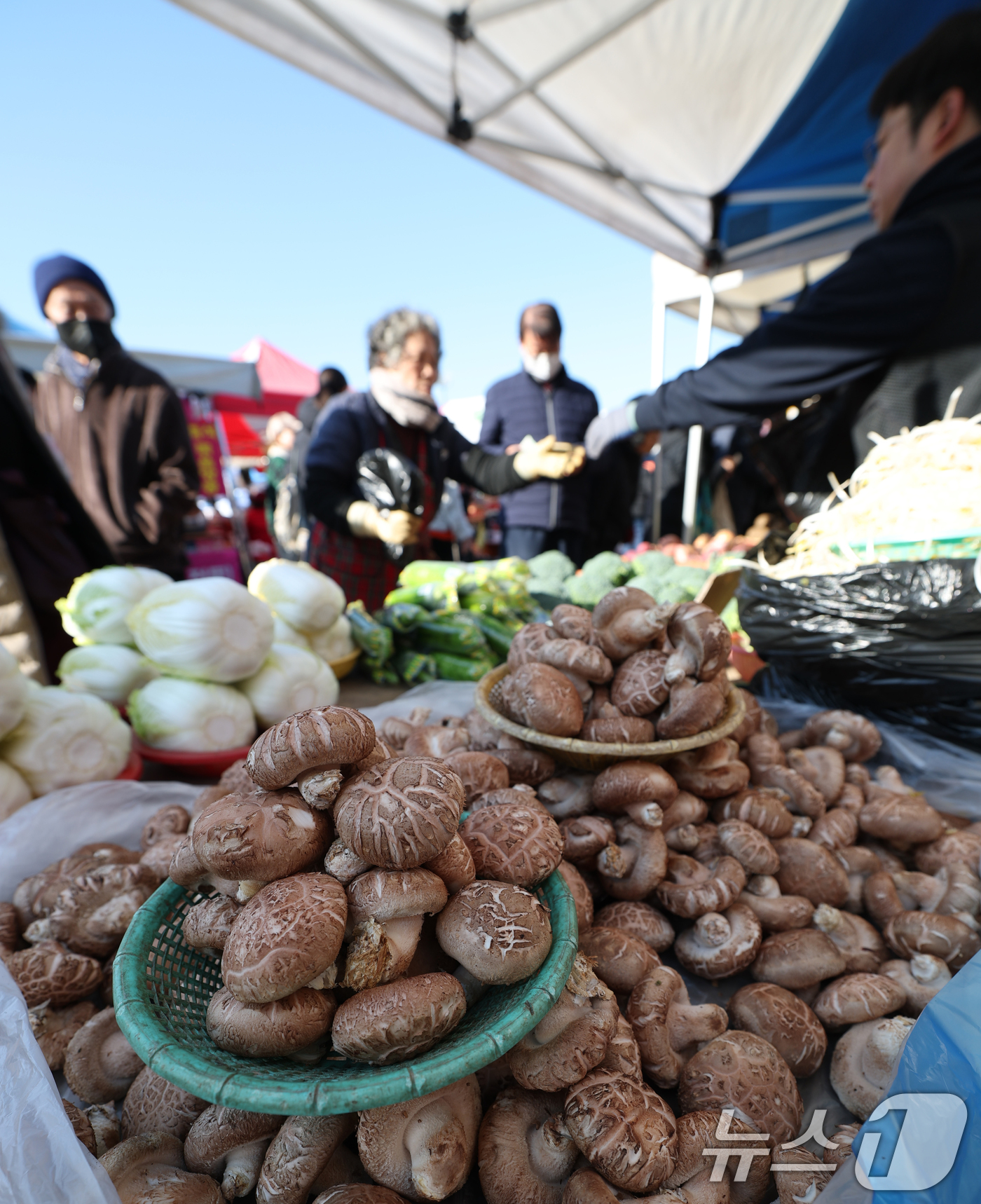 (성남=뉴스1) 김영운 기자 = 설 연휴를 앞둔 24일 경기 성남시 중원구 모란민속5일장에서 시민들이 제수용품 구매를 하고 있다. 2025.1.24/뉴스1