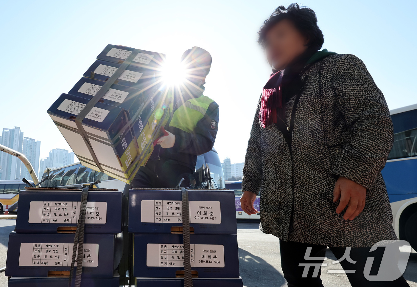 (서울=뉴스1) 이동해 기자 = 설 명절 연휴를 앞둔 24일 서울 서초구 고속버스터미널 경부선에서 역귀성한 어르신이 양손 가득 싣고 온 과일을 택배 부치고 있다. 2025.1.24 …