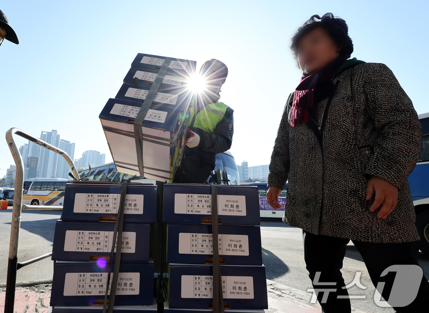 (서울=뉴스1) 이동해 기자 = 설 명절 연휴를 앞둔 24일 서울 서초구 고속버스터미널 경부선에서 역귀성한 어르신이 양손 가득 싣고 온 과일을 택배 부치고 있다. 2025.1.24 …