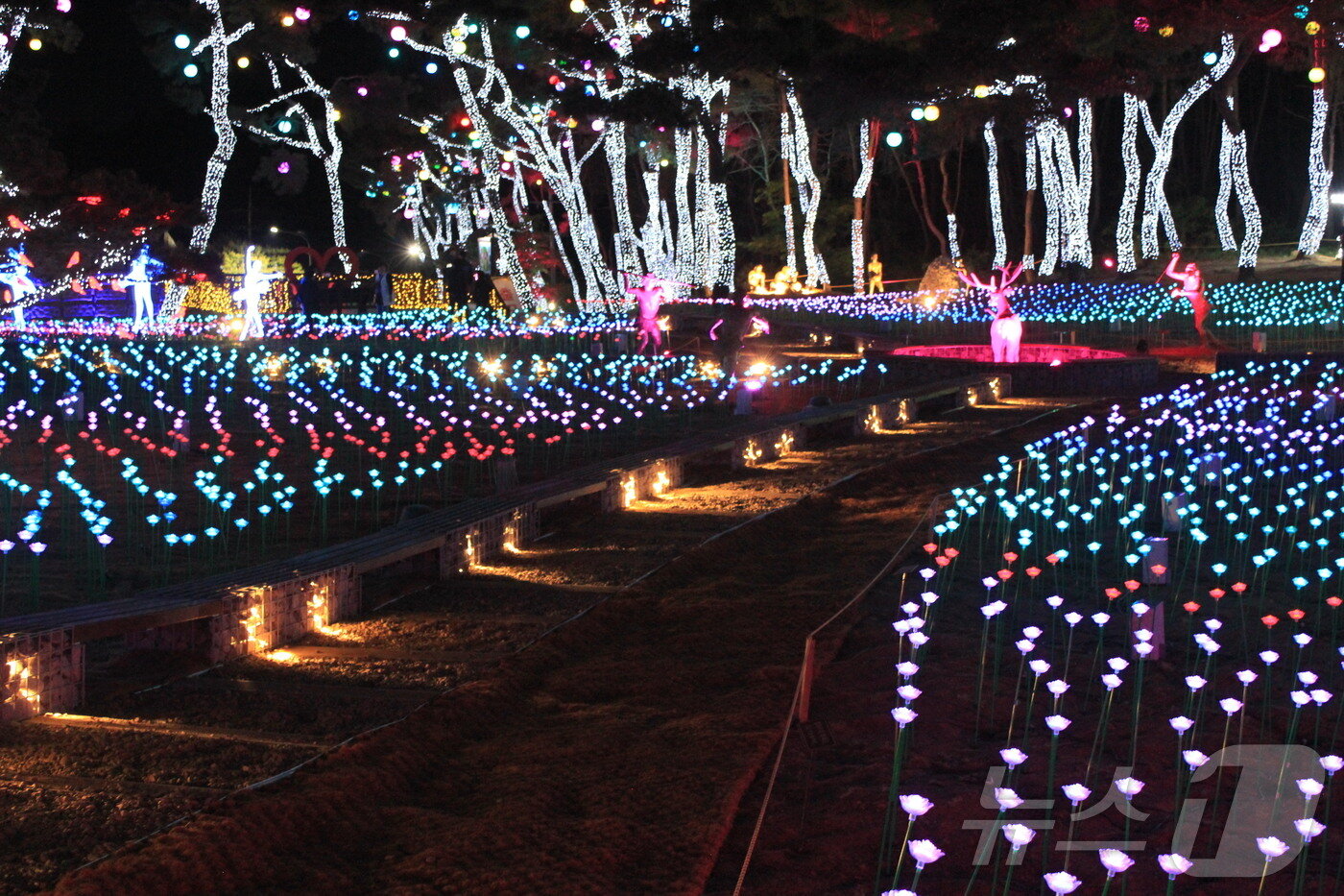 본문 이미지 - 단양 수양개 빛 터널/뉴스1 