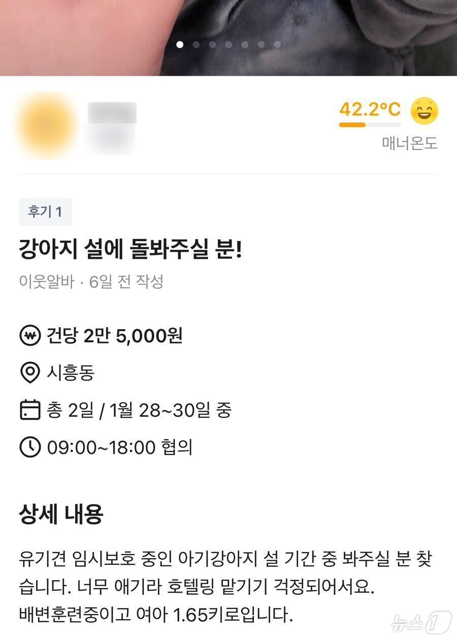 본문 이미지 - 당근 '이웃알바'에 올라온 반려동물 돌봄 관련 공고ⓒ 뉴스1